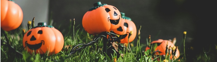 jack o lanterns in the grass