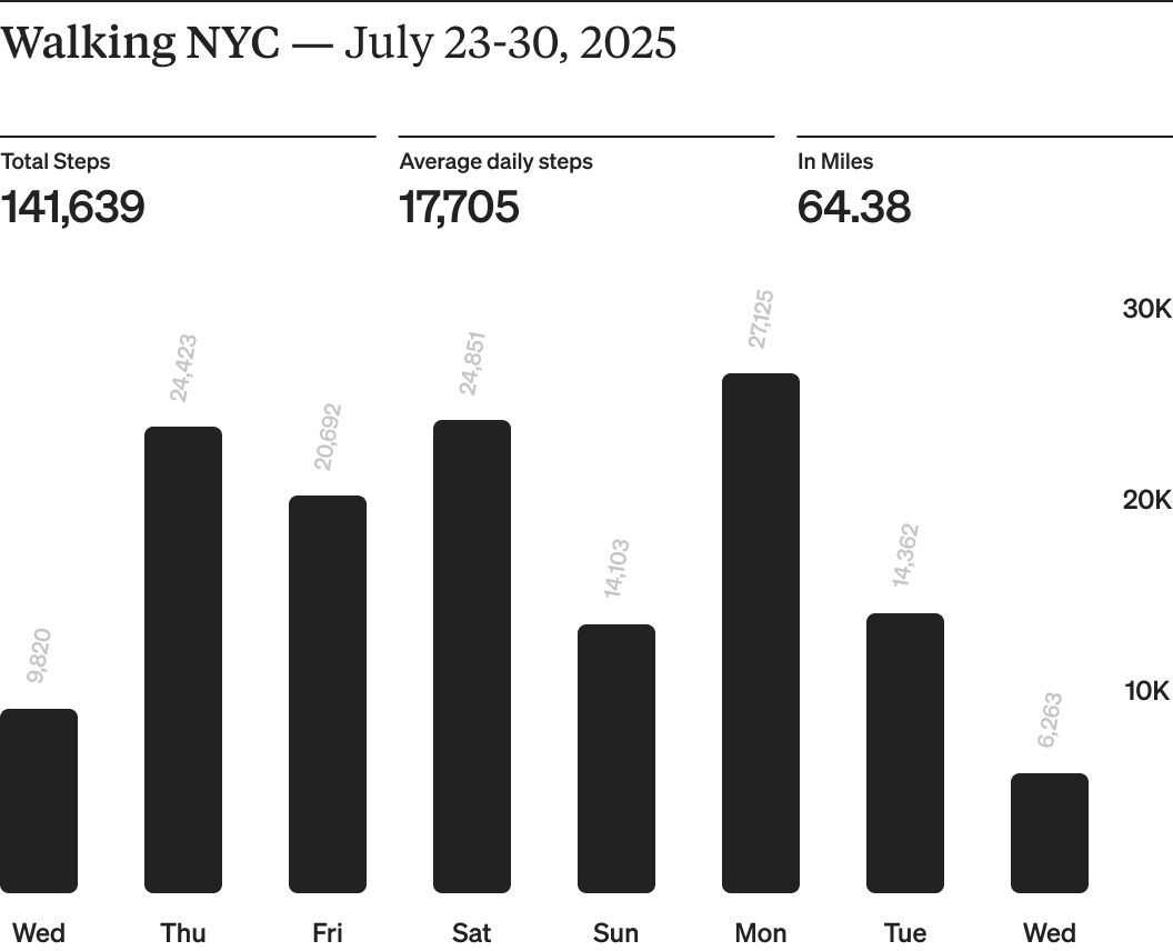 walking_NYC_Summer2025.png