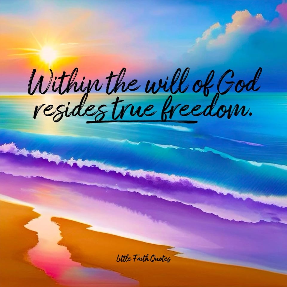 "Within the will of God resides true freedom." Image by: @Little Faith Quotes.