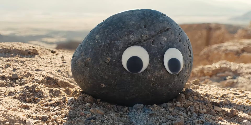 A rock with googly eyes.