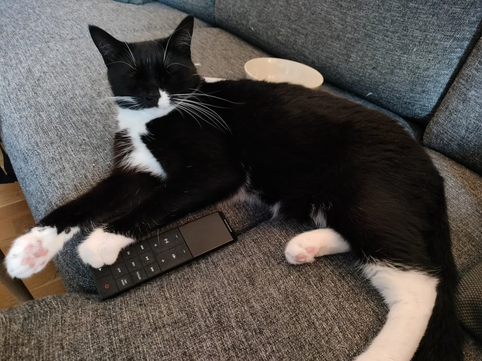 yoshi is BACK from her VACATION