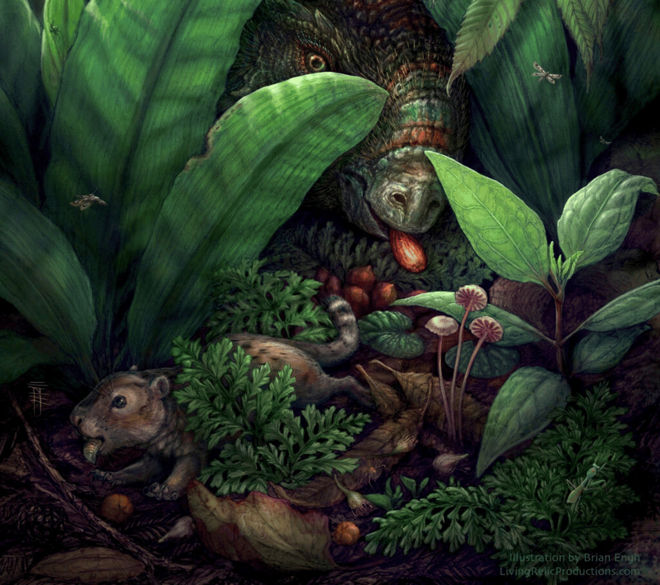 Flowers For Dinosaurs