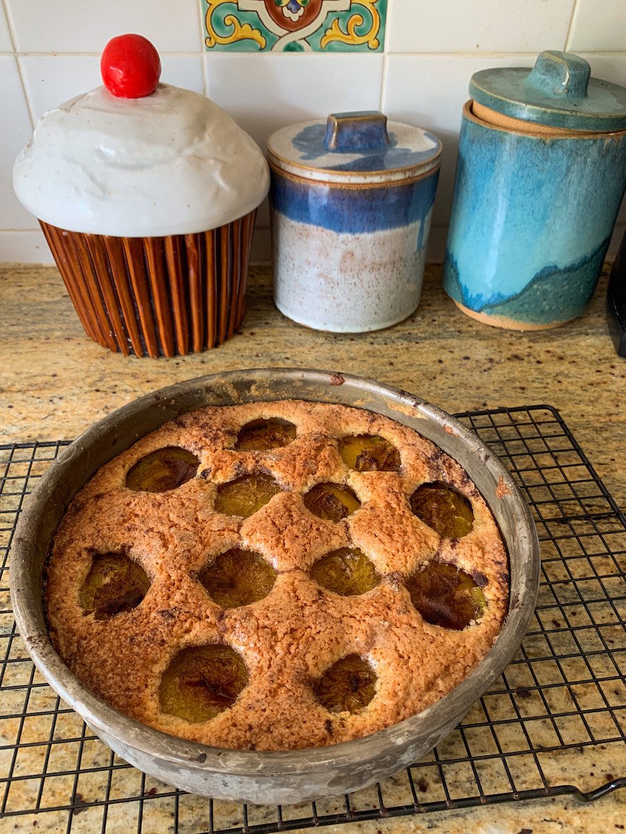 A plum torte cooling in a cake pan on a counter