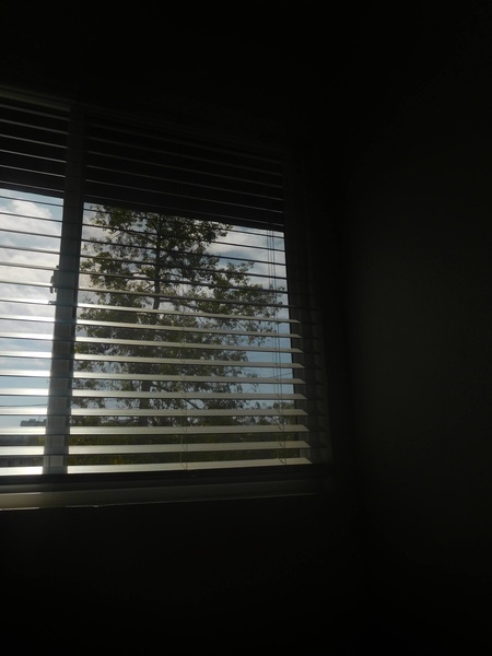 A bright window with open blinds in an otherwise dark room. The upper part of a tree is visible outside.