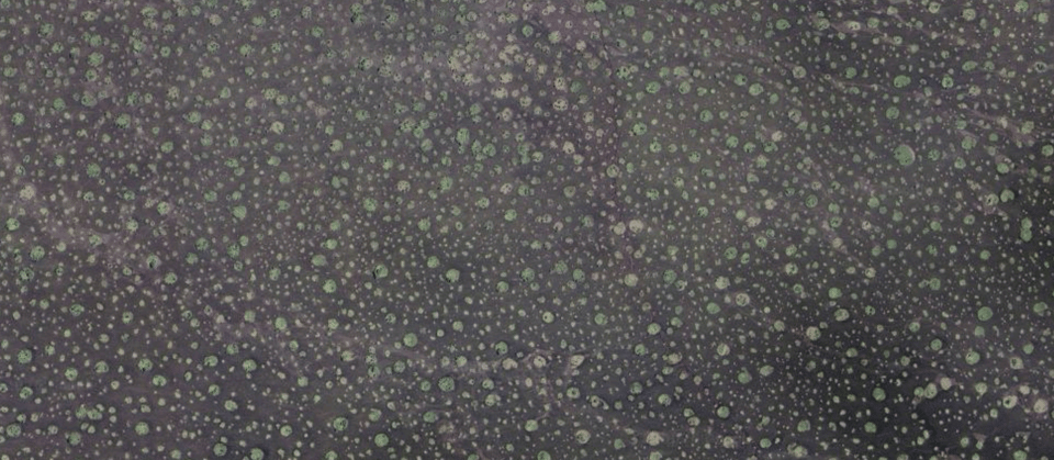 Screenshot 2026-04-04 at 21.28.37.png