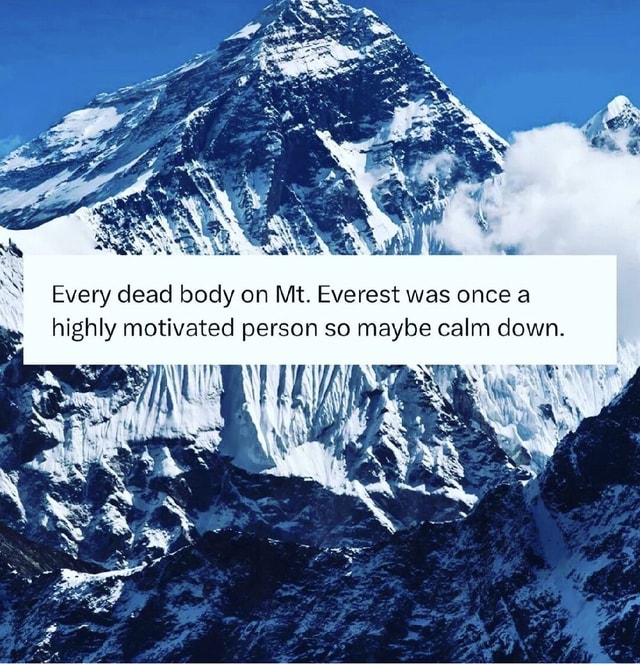Text overlaid on a photo of a mountain reads, "Every dead body on Mt. Everest was once a highly motivated person so maybe calm down."