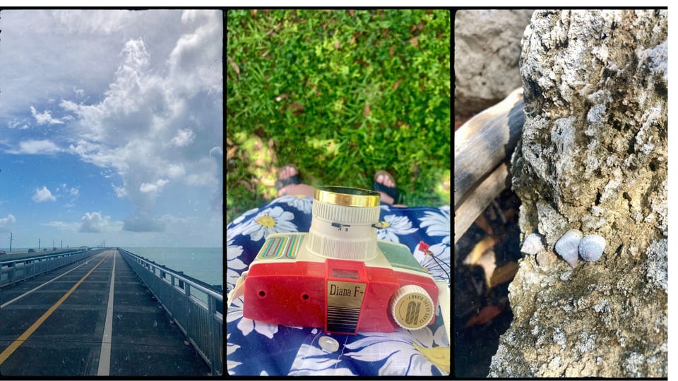 photo grid with 3 pictures. L-R: the old and new 7 Mile Bridges going out to Pigeon Key with blue sea; downward shot of D wearing a navy daisy-print matching set and a red vintage Diana camera; several live snails attached to a chunk of oolite.