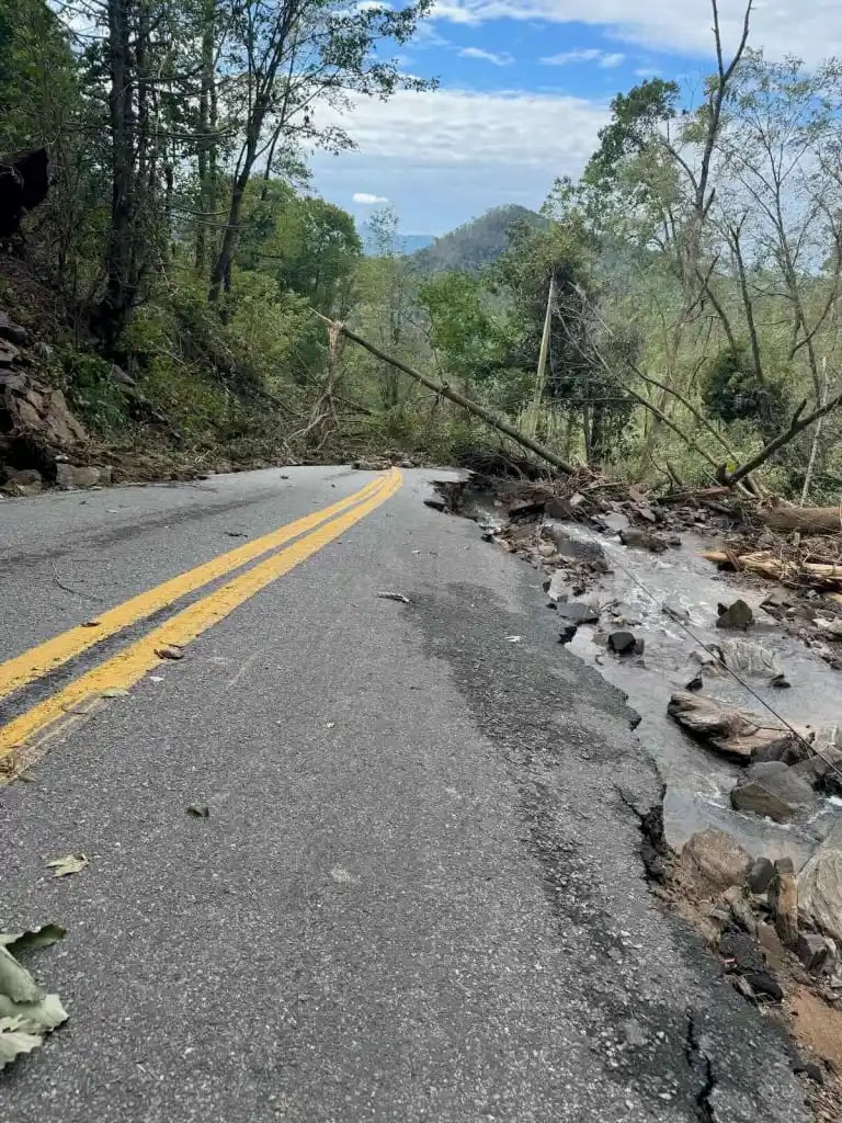 An impassable road. Chunks of pavement have collapsed into a flooded stream, and fallen trees block the road a few yards ahead.
