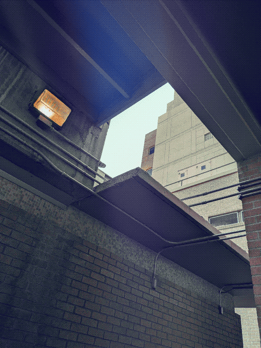 An unusual and hidden-looking corridor between buildings. Photo with a dithering effect applied.