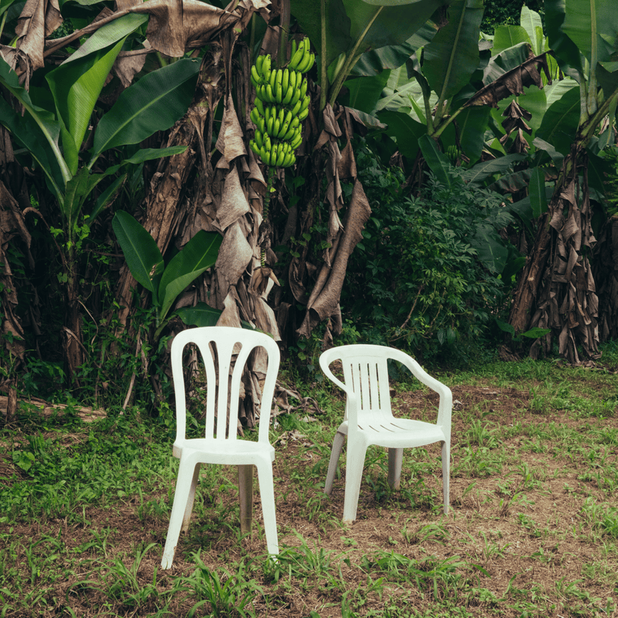 The cover of the Bad Bunny record DeBÍ TiRAR MáS FOToS. Two white lawn chairs are photographed in a grassy lot, with palm trees growing platanos behind.