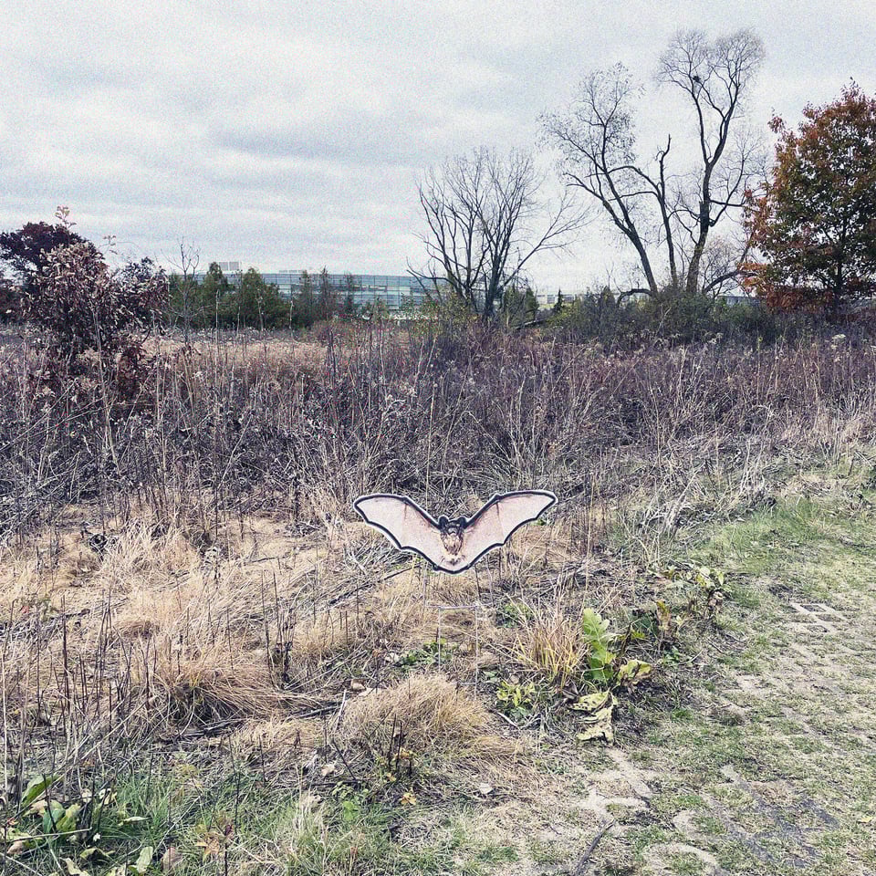 a cardboard cutout image of a bat spreading its wings against the backdrop of a nature walk in suburban Illinois