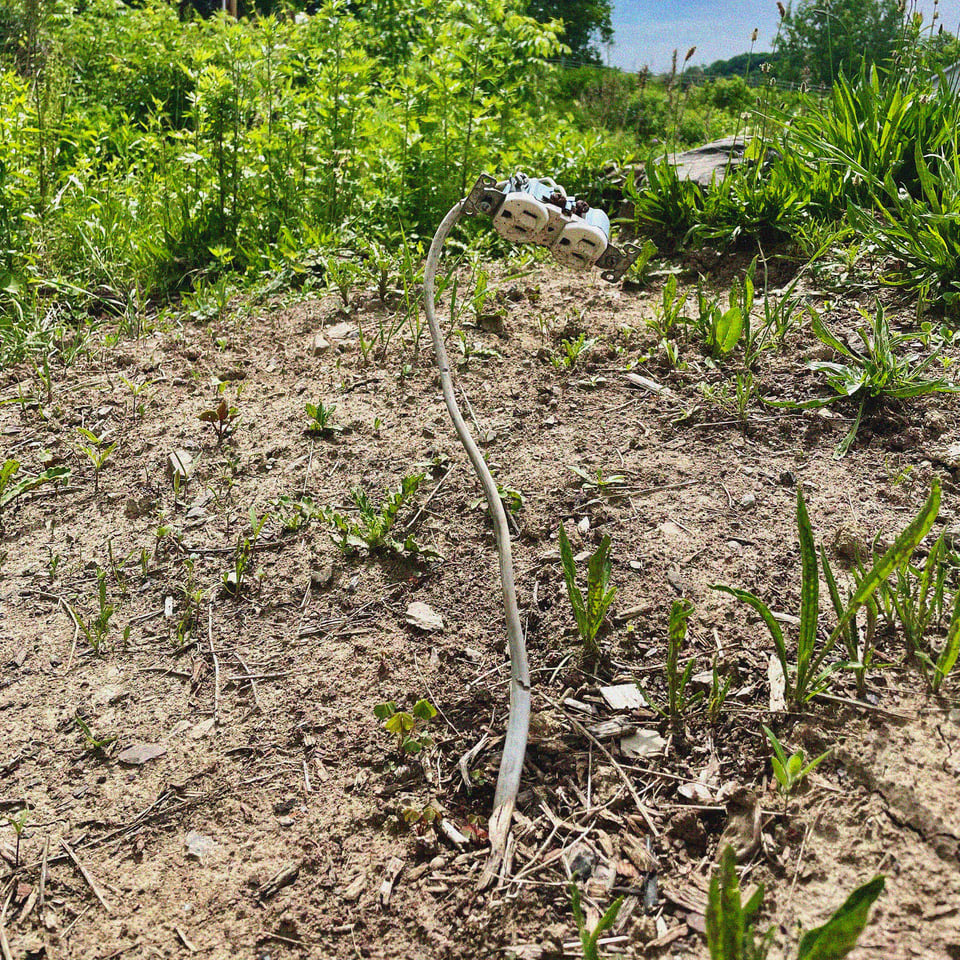 an electrical outlet sticks out snake-like from a mound of dir