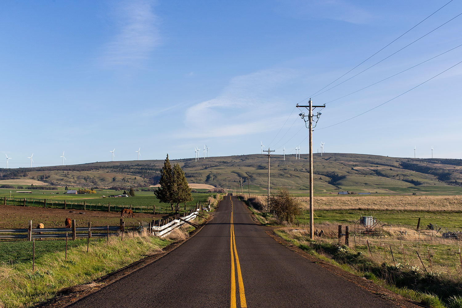 The Truth 🫡 of Reliable Next-Generation 🔋 Green Energy Storage