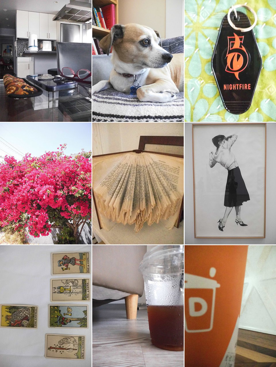 9 digital Instax images in a 3x3 grid:

Top row: left, a glass dining room table, centered on a cloth glasses case, an iPhone and a pair of glasses; center, an adorable dog sitting on an Indian blanket, looking to its left; right, a black plastic hotel-key chain, inscribed with a 5 in a flame, and the words NIGHTFIRE below

Center: left, flourishing pink bougainvillea; center; a sculpture made of folding pages of an opened book; right, a photo of Robert Longo's Ellen, showing a woman in a black pencil skirt flinching as though avoiding a blow

Bottom row: left, a layout of tarot cards on a hotel bedspread; center, a clear, condensation-covered cup of iced coffee on a hotel floor in front of a chair; right, part of a Dunkin cup of coffee on a butcher-block counter