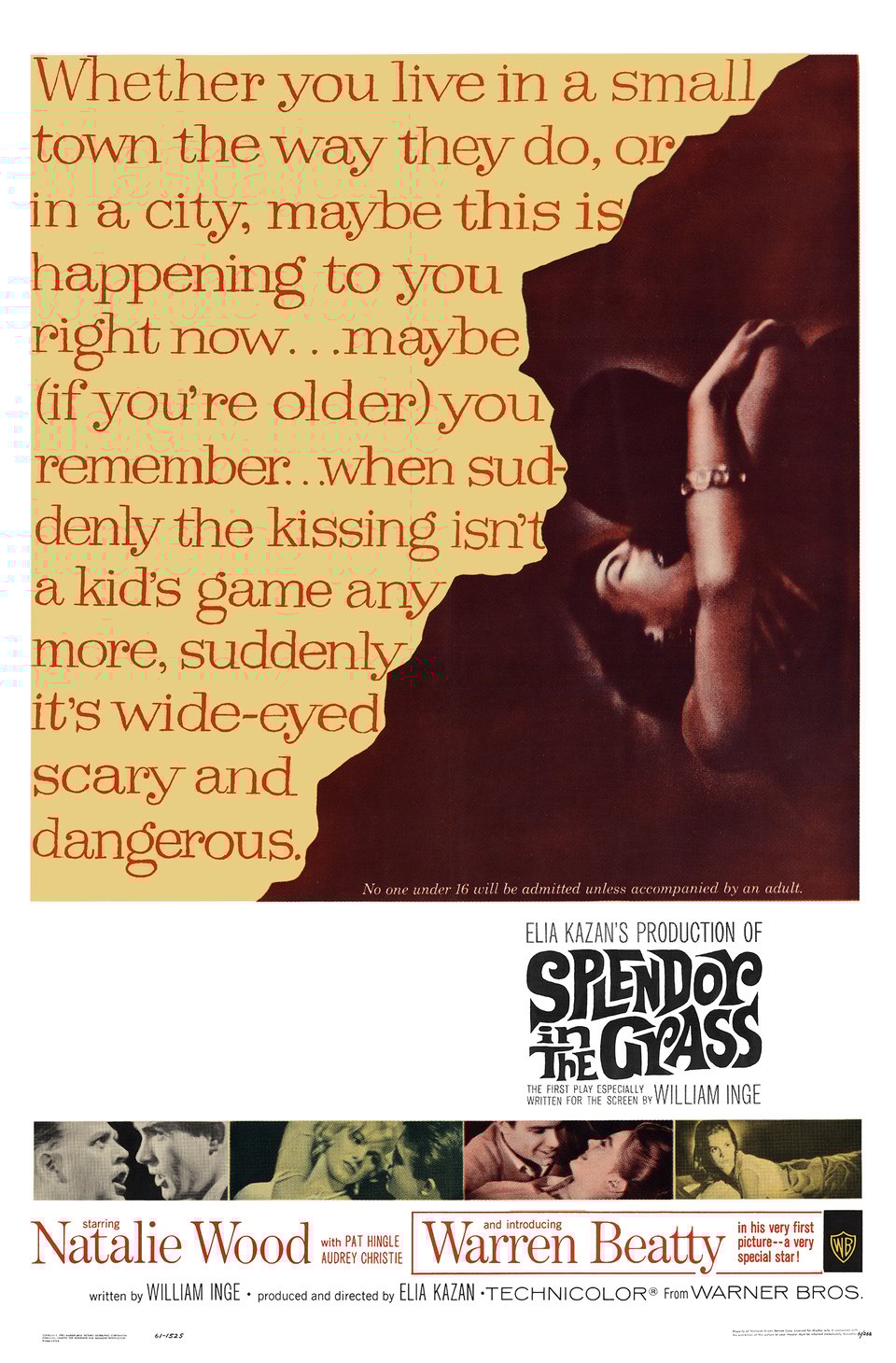 Poster for "Splendor in the Grass."