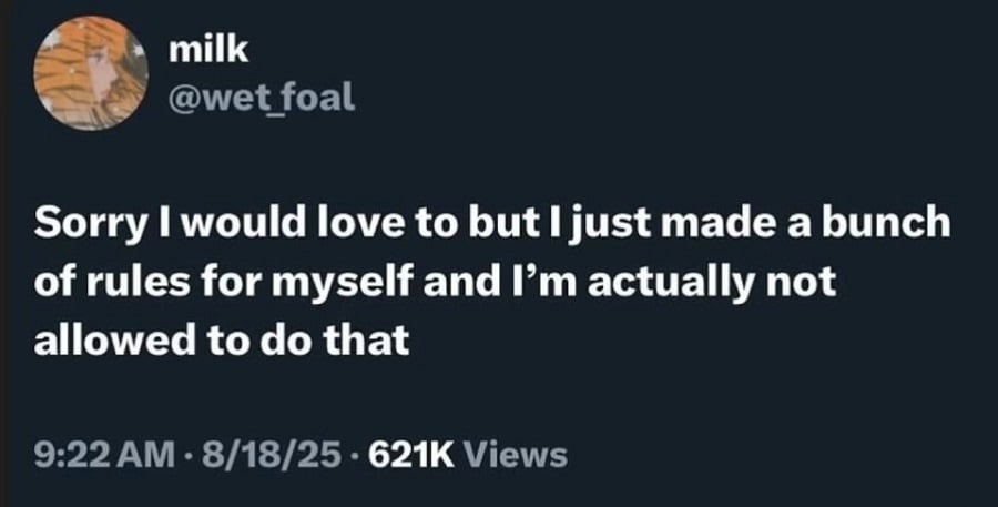 Twitter screenshot from @wet_foal: Sorry I would love to but I just made a bunch of rules for myself and I'm actually not allowed to do that