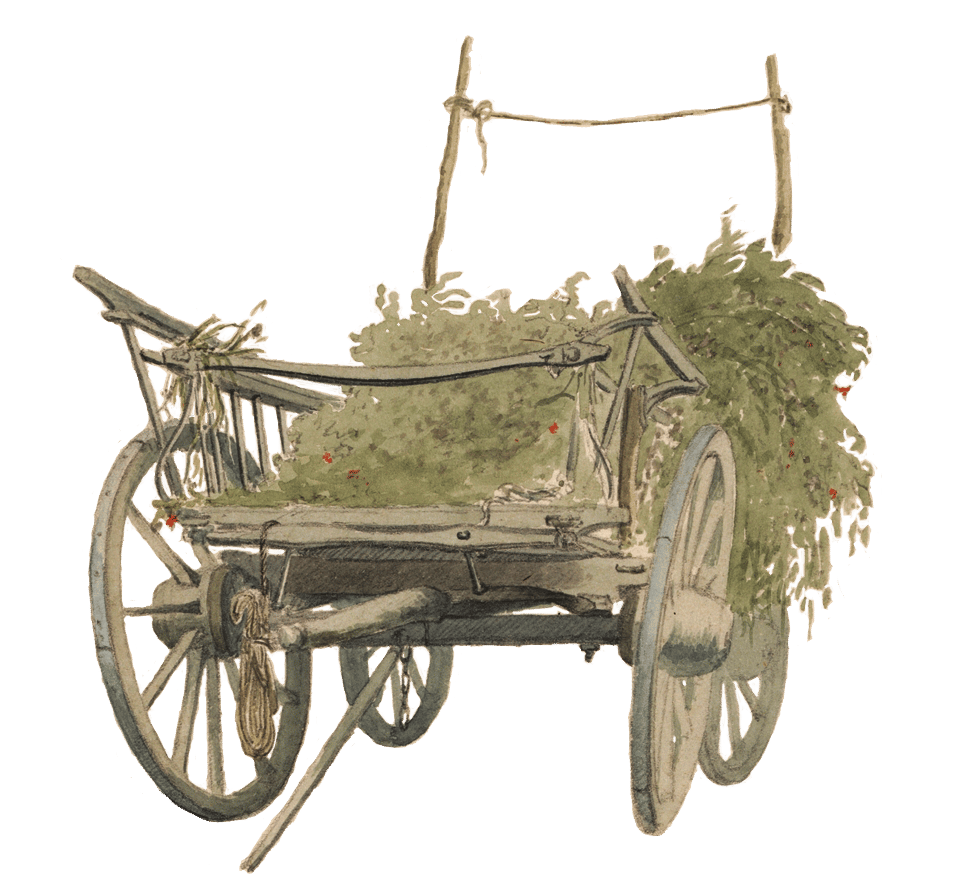 A drawing of a cart with plant matter on it