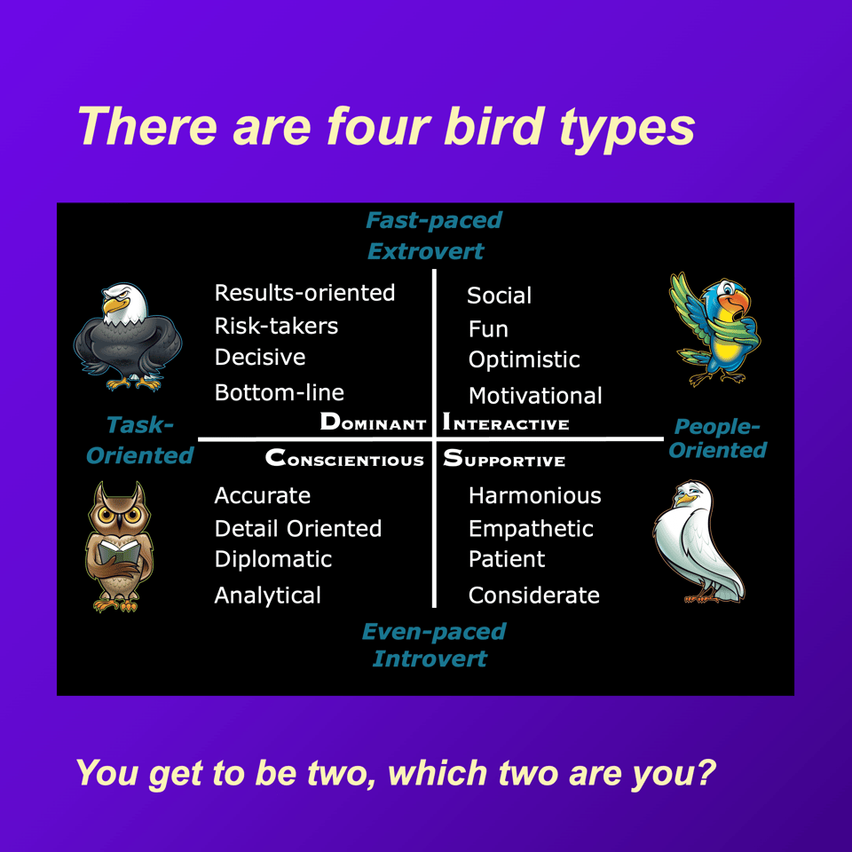 the bird types