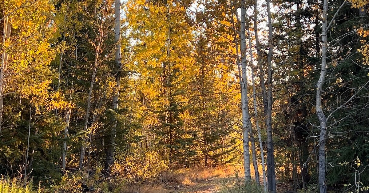 Retreat and Reconciliation