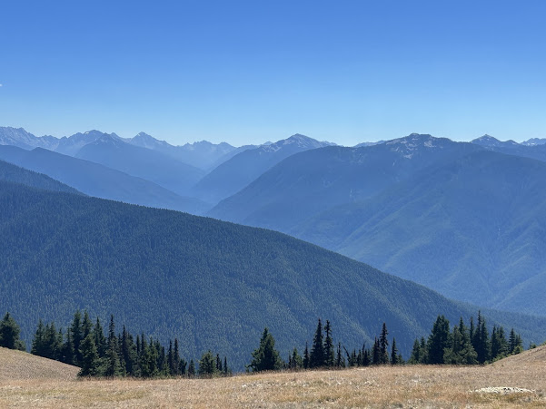 Hurricane Ridge, Olympic Park