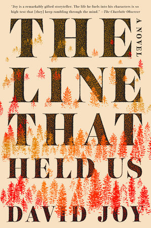 Cover: The Line That Held Us by David Joy