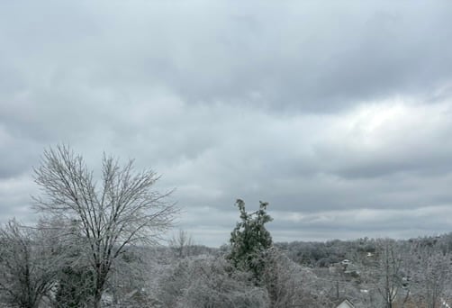 A scene of a cloudy sky and trees covered in ice.