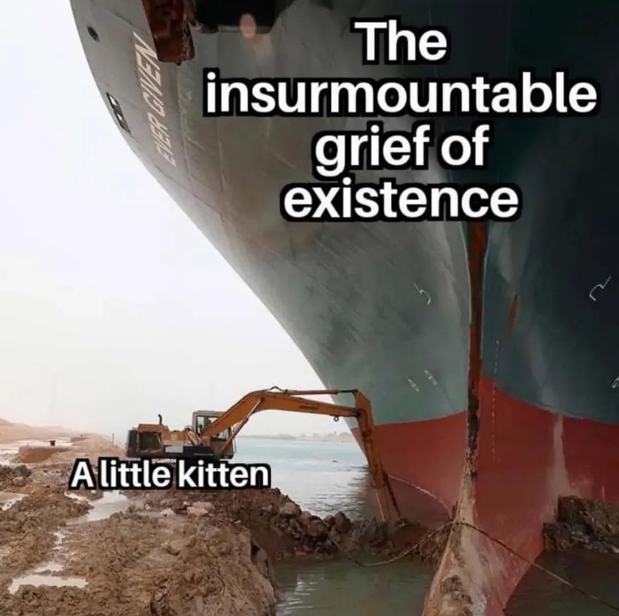 A photo of the big backhoe thing trying to push the Ever Given cargo ship off the shore where it beached itself.

The Ever Given is marked as "The insurmountable grief of existence" and the backhoe thing is marked as "A little kitten"