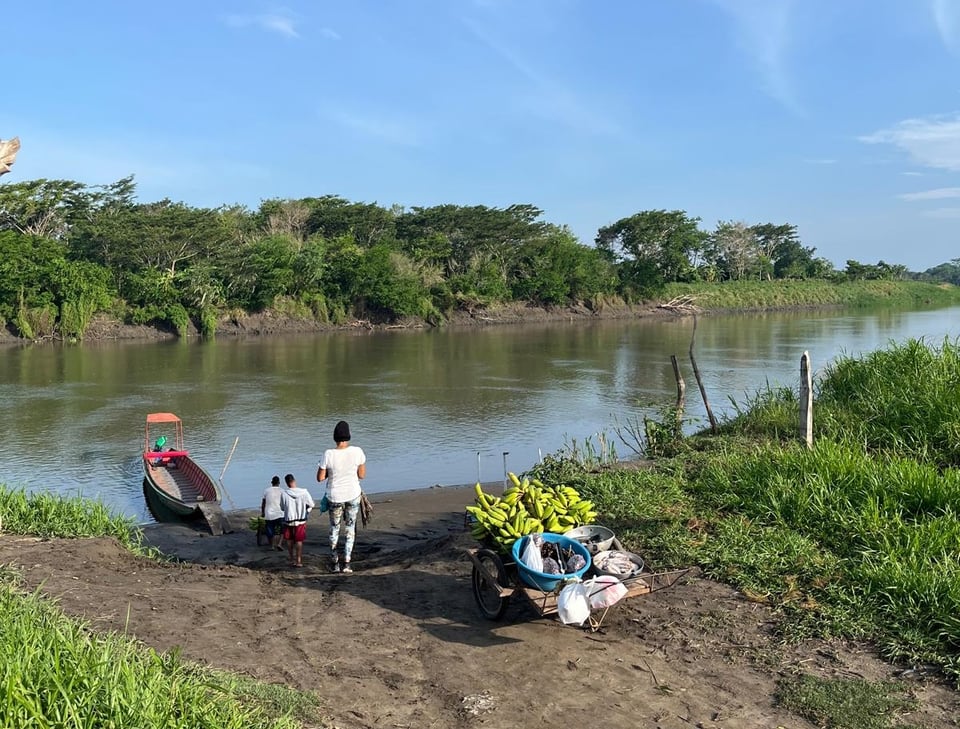 Photograph of fish and plantains being prepared to cross a channel of the Magdalena in a small boat.