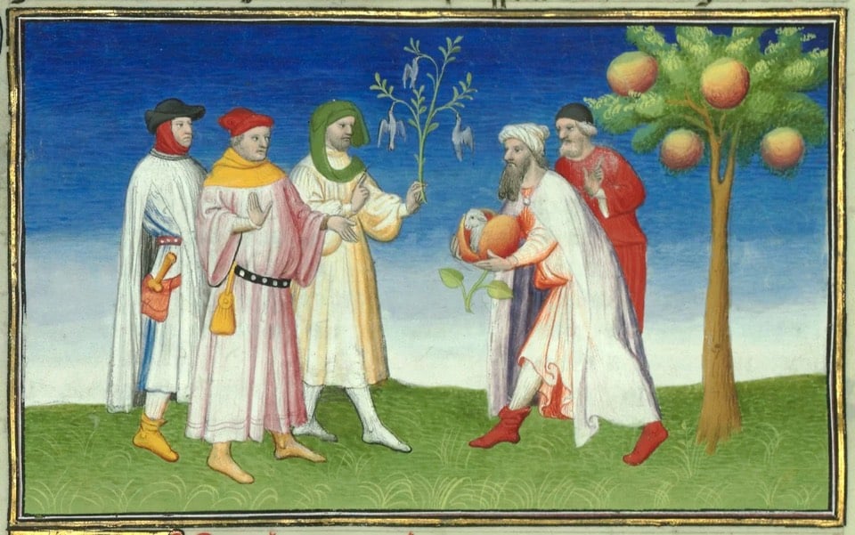 Miniature from the Livre des merveilles du monde (Book of the marvels of the world), depicting a vegetable lamb, ca. 1410–12 (BnF Français 2810, f. 210v)