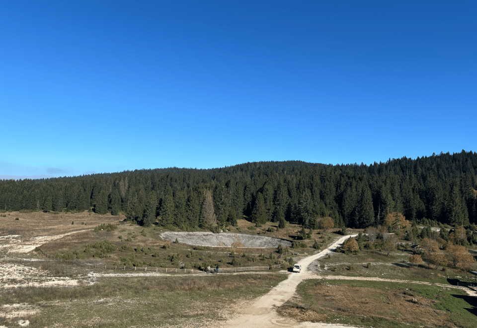A landscape image of a forest with a bright blue sky above it, a dusty crossroads with green faded grass and a small white car at the crossroads.