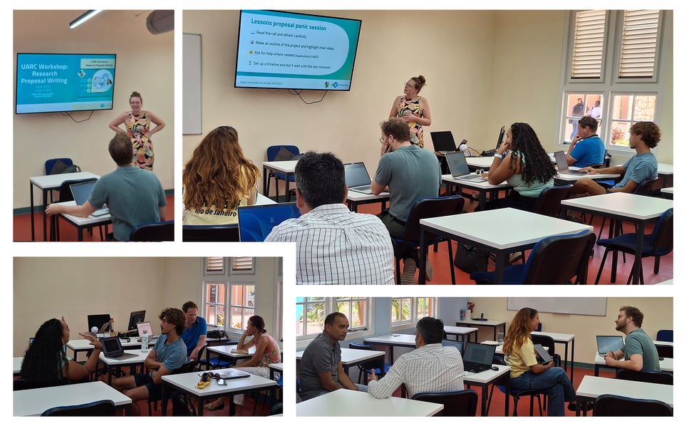Four pictures from the proposal writing workshop. The upper left picture shows Esther Plomp and Bart Donselaar, with the starting slide on the screen. The upper right picture shows Esther presenting and several workshop participants with their laptops seated at tables. The bottom two pictures show the workshop participants in discussion in pairs.