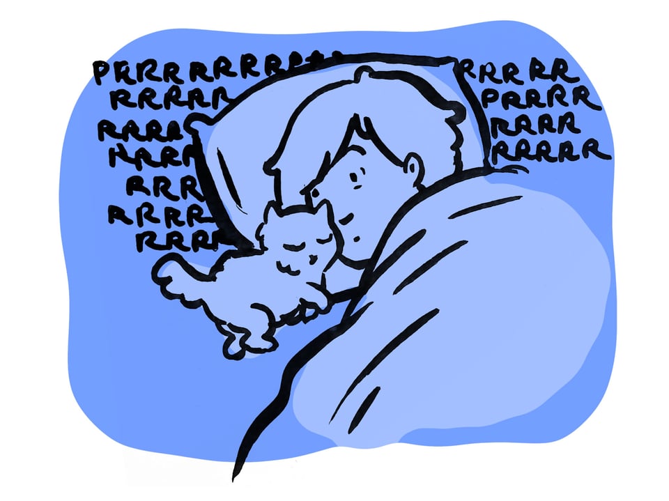 Sarah is surprised that a tiny kitten is sleeping smooshed up on her face