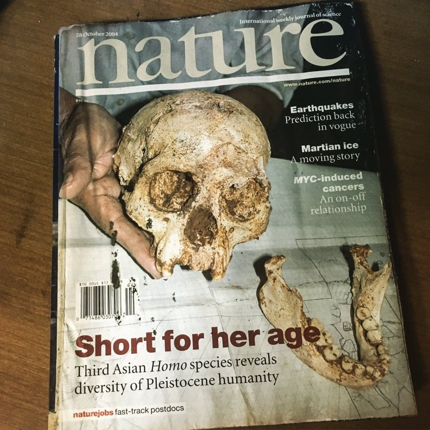 The 28 October 2004 cover of Nature, worn at the edges, on a wooden table. A hand holds a small, mud-stained fossil skull next to its lower jaw, resting on a gridded site map. The headline reads “Short for her age,” with the subhead “Third Asian Homo species reveals diversity of Pleistocene humanity.”