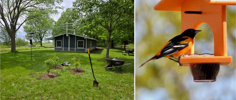 FSPA members are also adding bird feeding stations at the park picnic shelter and planting more native plants for them. / Photos by Steve Dietz