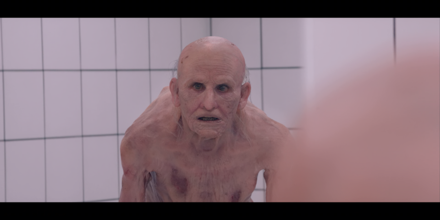 Elisabeth stares at herself in the mirror, but now she is hunched over, bald but for some wisps of white hair. Her skin sags and is covered in liver spots.