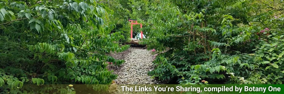 A view in Ventnor Botanic Garden looking to the Japanese area.