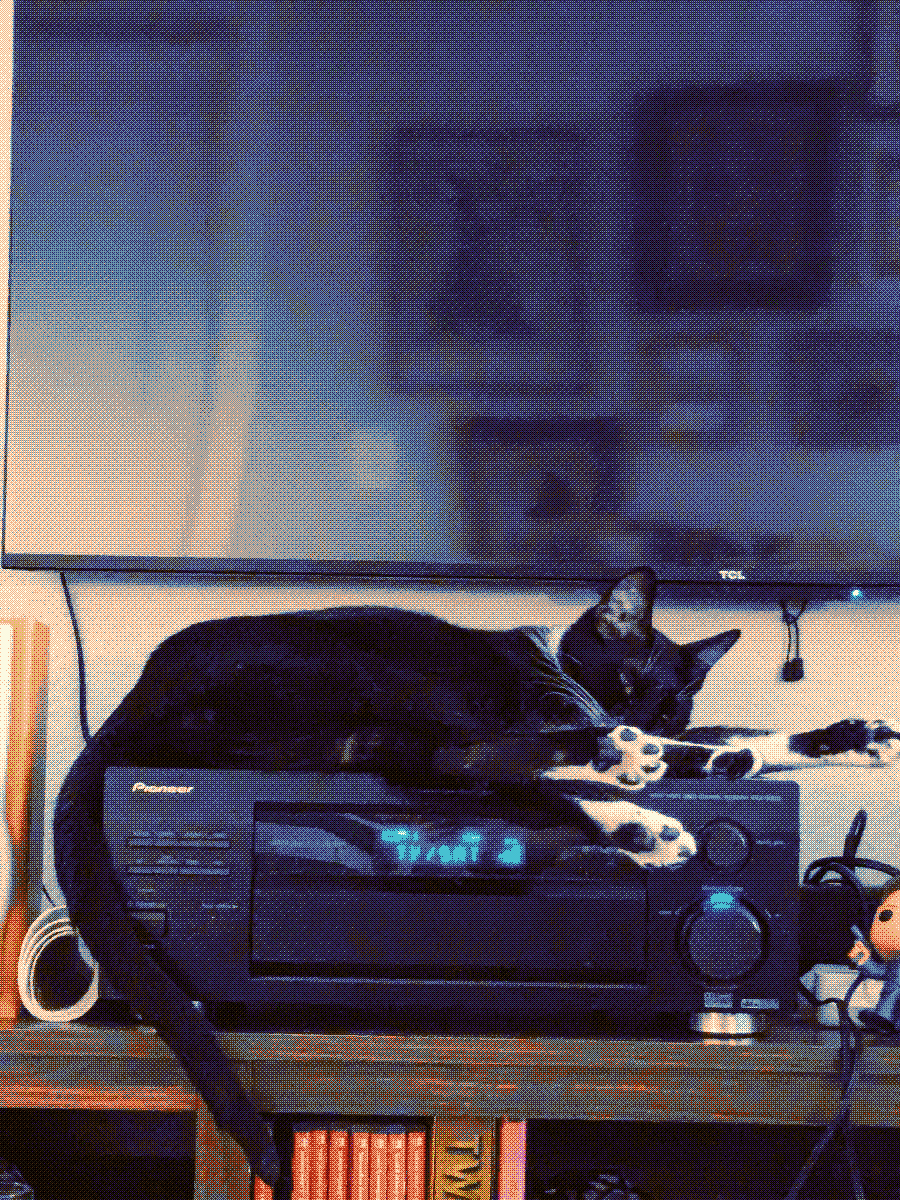 A black and white shorthaired cat lying down on top of a stereo receiver.