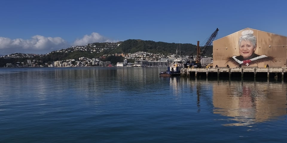 wellington harbour, the deep blue water is still and the little houses and buildings are scattered along the far hill. A large mural of a MÄori woman, June Jackson, is in the foreground