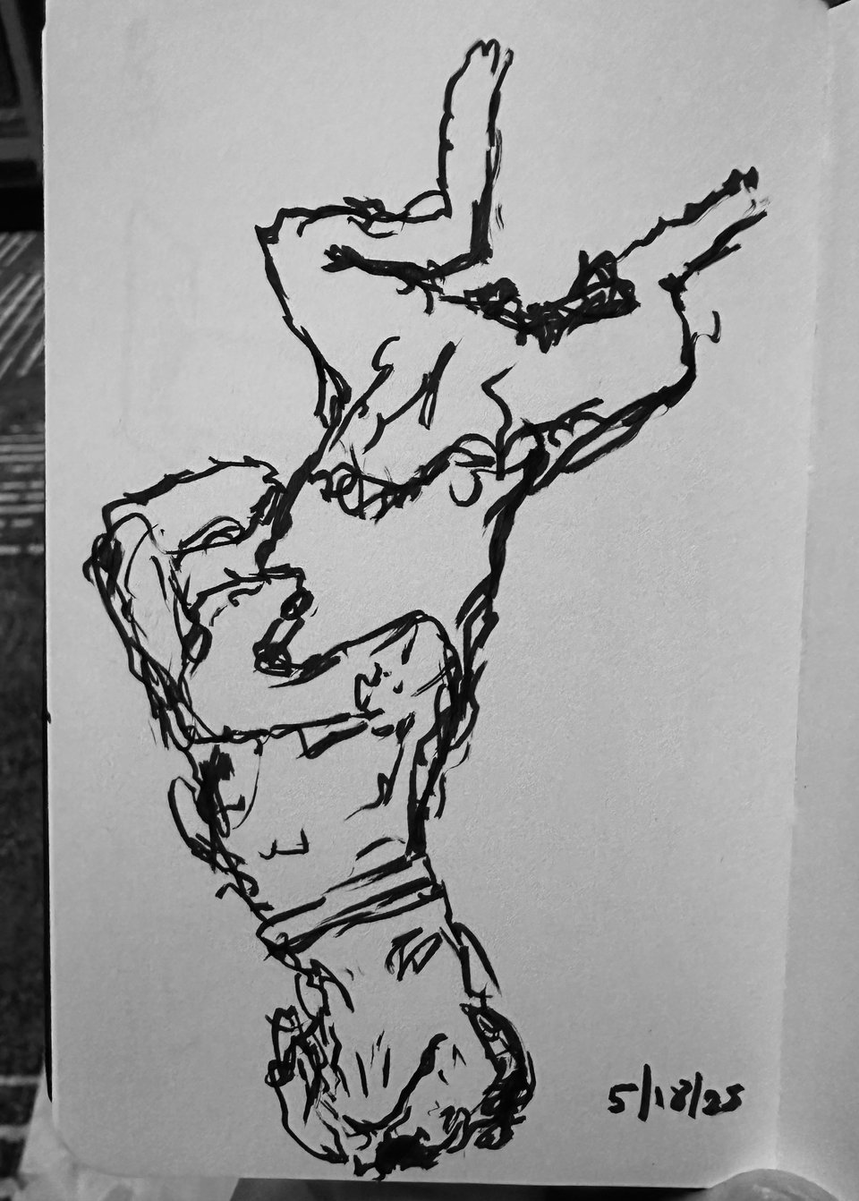 brush-pen sketch of aussiedoodle flipped on its back, rear legs spread