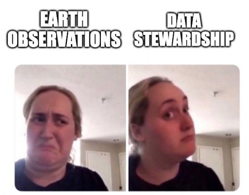 yes no woman meme where scrunched up face is earth observations and curious face is data stewardship