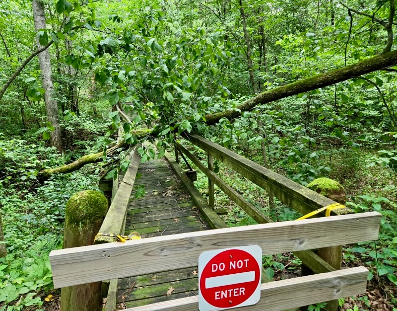 As of mid-July, wind and rain had done a number on the Kruger area’s Easy Wheeling Trail. Hopefully downed trees will be removed by August. (Yep, more work for our Frontenac State Park staff, which manages the area!) / Photo by Pamela Miller