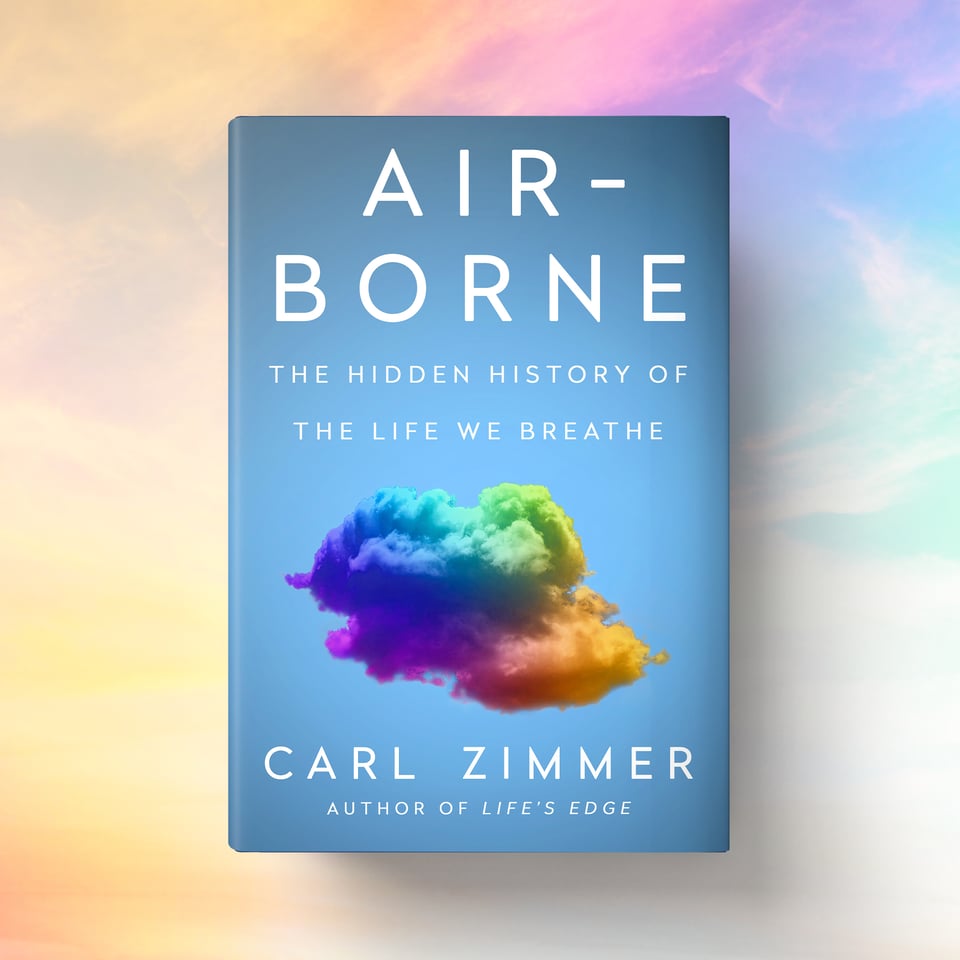 The cover of my book Airborne