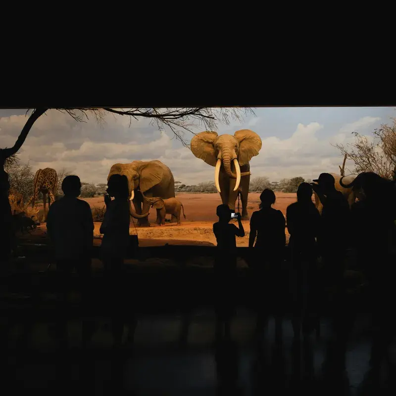 Aether Mug - A Framing and Model About Framings and Models