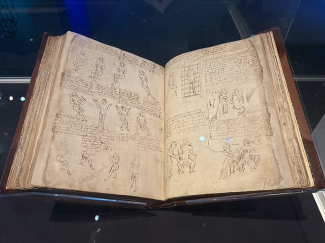 a medieval manuscript with images of health? sex?