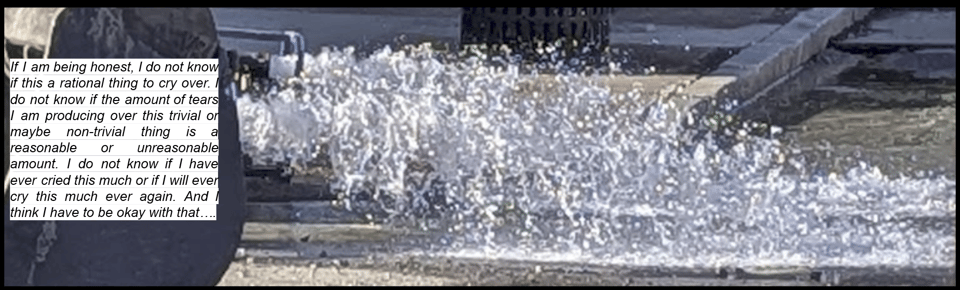 A picture of water being pumped out from an hydrant out onto the road. A block of text on the left reads "If I am being honest, I do not know if this a rational thing to cry over. I do not know if the amount of tears I am producing over this trivial or maybe non-trivial thing is a reasonable or unreasonable amount. I do not know if I have ever cried this much or if I will ever cry this much ever again. And I think I have to be okay with that…."