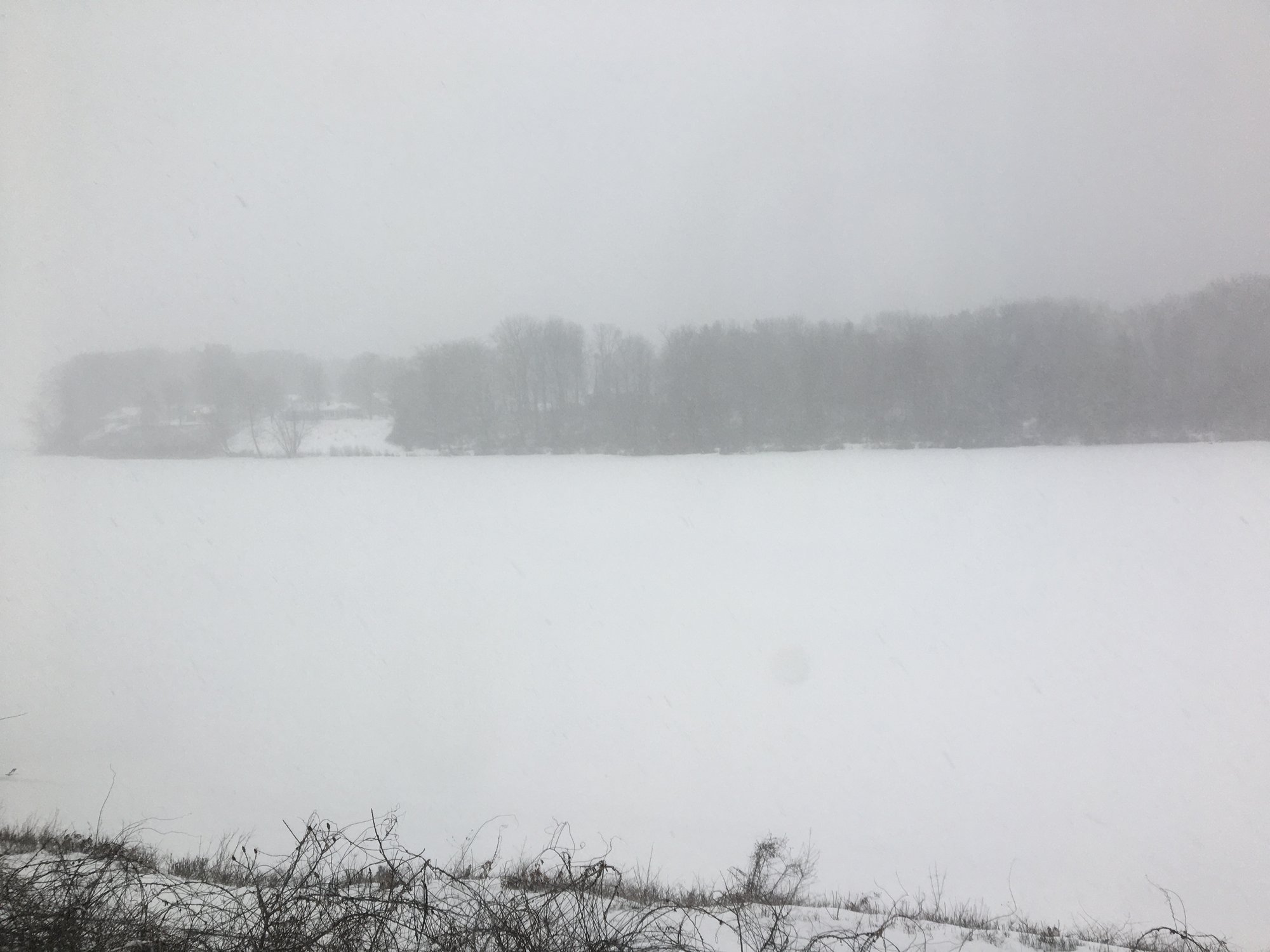 Wreck Your Own Adventure Newsletter 1-25-26: Snow. Snow. And a Bonus Show.