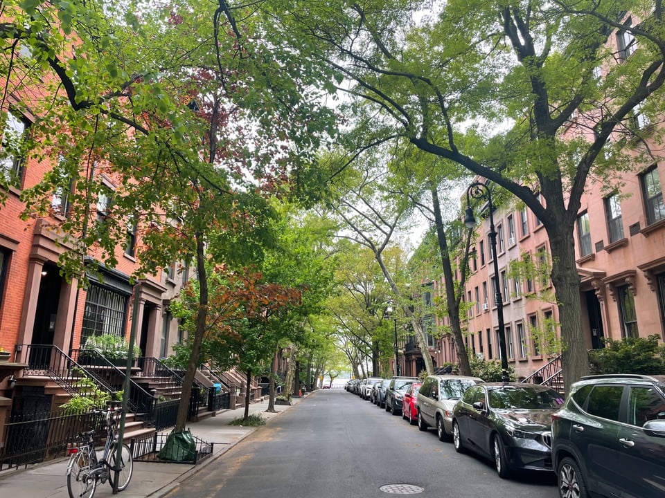 Remsen Street in Brooklyn Heights