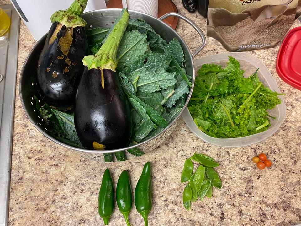a vegetable harvest from my garden: eggplants, jalapenos, snap peas, kale, and mustard greens.