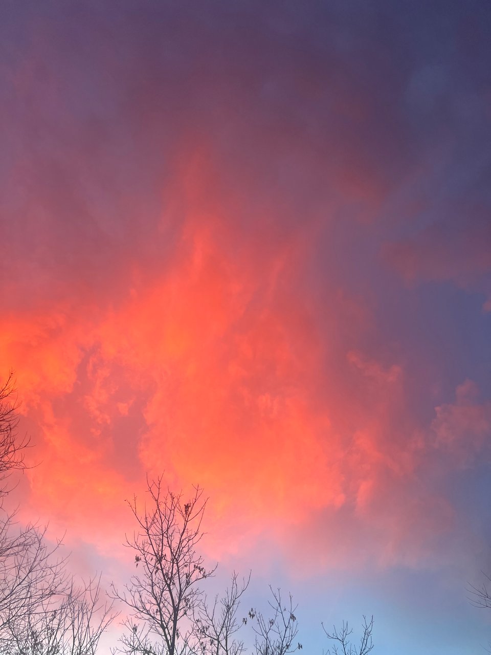 A sky at sunset with pink, orange, and purple clouds and trees at the edge of the frame