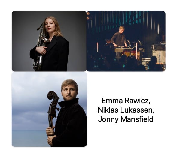 Perfomers with their instruments-saxophone, vibraphone and bass.